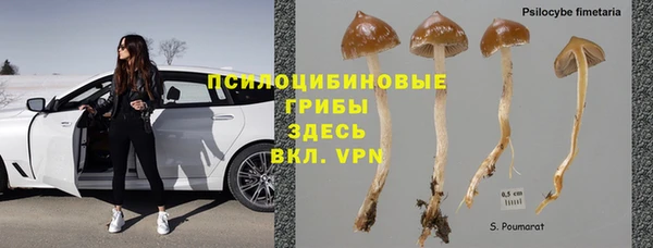 спиды Алзамай
