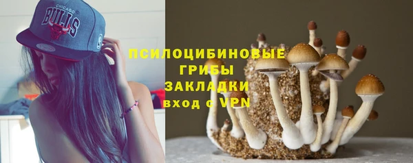 спиды Алзамай