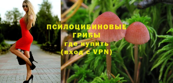 спиды Алзамай